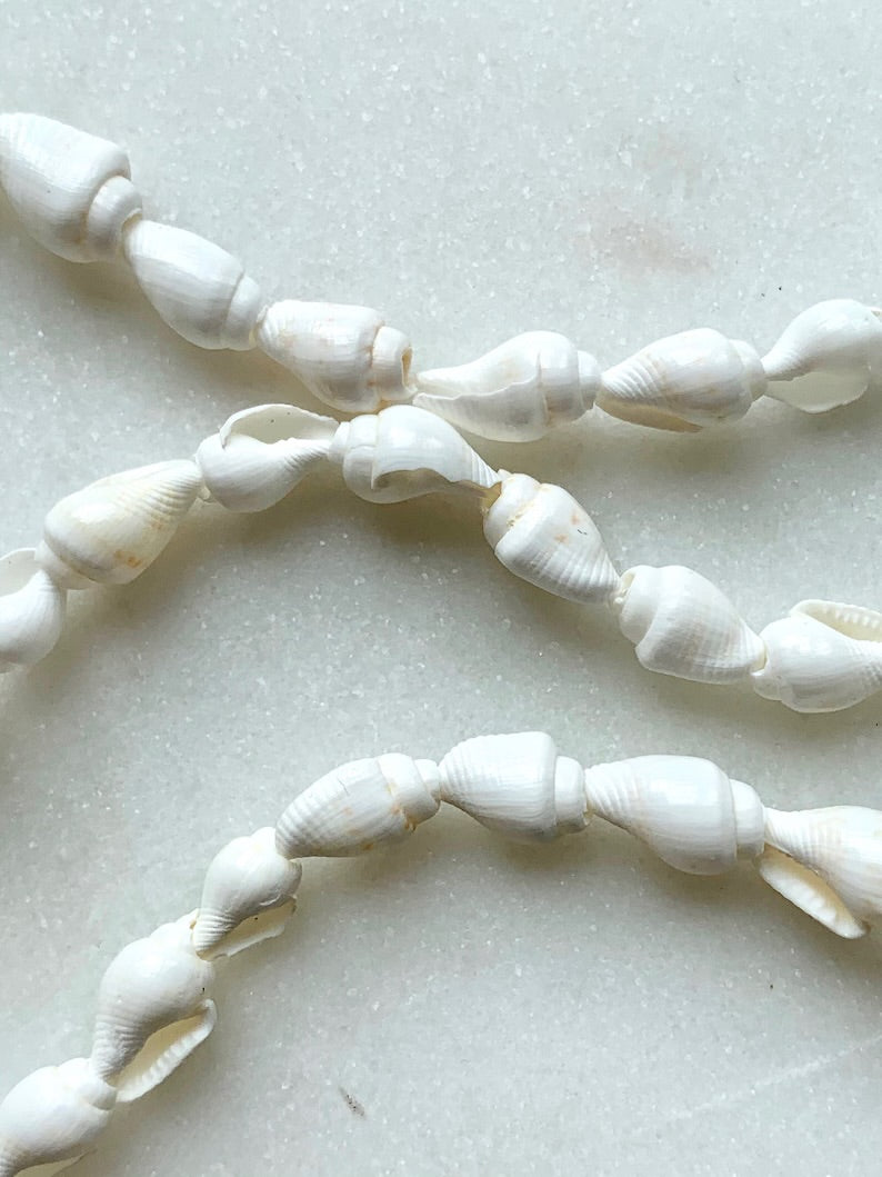 Sunglass Seashell Chain